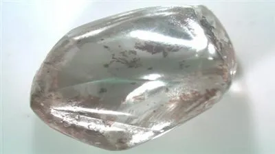 مسنة أمریكیة تعثر على 