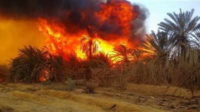 محافظ الوادي الجديد يكشف أخر تفاصيل حريق قرية الراشدة