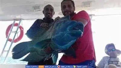 غضب بسبب إصطياد سمكة 