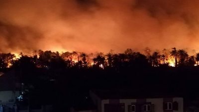 بعد اشتعال 100 فدان.. نائب عن الوادي الجديد يكشف سر تعدد حرائق الراشدة