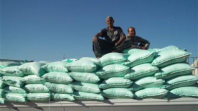 حملة على المخابز والتجار التموينيين بالدقهلية