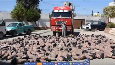 2 طن بانجو مخبأة أسفل حمولة 