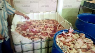 ضبط 578 كليو دواجن مجهزة غير صالحة للاستخدام بحلوان (صور)