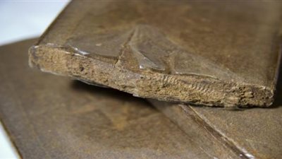 حجز صفيحة ونصف من 'الزطلة' داخل سيارة‎