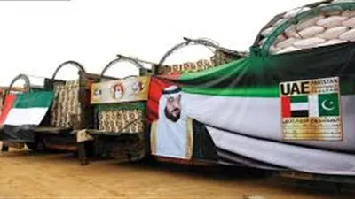 ناشطة: لولا الدعم الإماراتي لكان الوضع في اليمن أسوأ بكثير