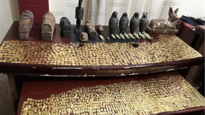 عاجل.. الأمن العام يضبط شخصين وبحوزتهما أكثر من 5 آلاف قطعة أثرية ببني سويف