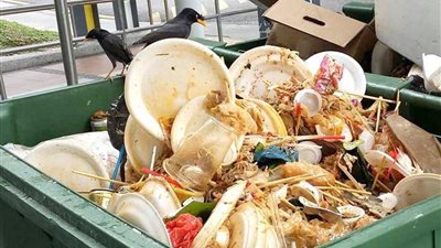 تواصل - السعودية | إحصائية لـ