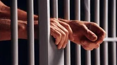 المشدد 5 سنوات لعاطلين لسرقتهم الهواتف المحمولة من المواطنين بالإسكندرية 