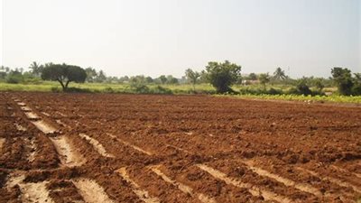 ما مصير الأرض الزراعية بعد وفاة مستأجرها؟