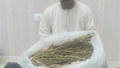 ضبط عامل بـ 2 كيلو بانجو وسلاح نارى وذخيرة بالفيوم 