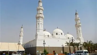 تواصل- السعودية| 