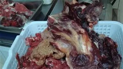 التحفظ على 2 طن كبد منتهية الصلاحية داخل ثلاجة بقليوب