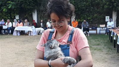 في اليوم العالمي للحيوان.. مسابقة أجمل كلبة وقطة في الإسكندرية والكلبة