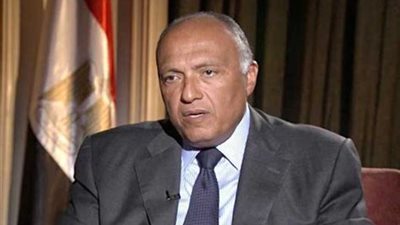 شكري: حجم التبادل التجاري بين مصر وروسيا بلغ 6.5 مليار دولار