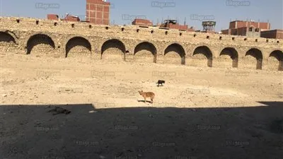 بعد جولة الفجر.. 