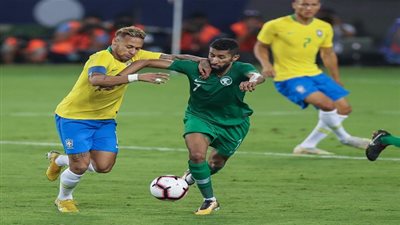 روبرتو كارلوس يشيد بمدرب السعودية وينتقد منتخب بلاده