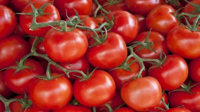 عاجل.. تحذير مهم من 