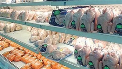 عاجل.. وزارة التموين ترفع أسعار الدواجن المجمدة بالمجمعات الاستهلاكية