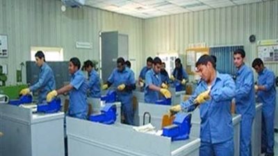 محمد مجاهد: 