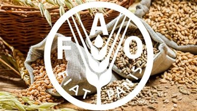 غدًا.. الاحتفال باليوم العالمى للغذاء تحت شعار 