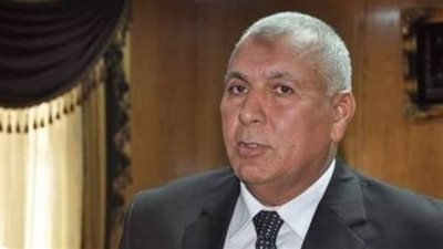 محافظ الوادي الجديد يناشد الأهالي عدم حرق مخلفات النخل (فيديو)