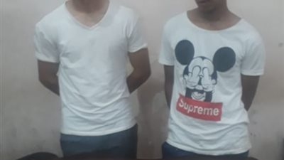 القبض على عاطلين سرقا سيارة مساعدة دكتور جامعة بالنزهة