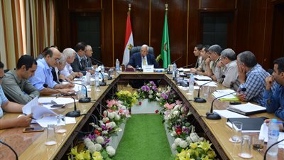 إعادة تأهيل ورفع كفائة الطرق ومنع الانتظار الخاطئ ورفع الإشغالات في جميع شوارع الدقهلية