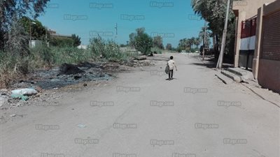 مشتل يتسبب في اختناق تلاميذ مجمع مدارس بالأقصر لقطعه الأشجار واحراقها بجواره (صور)