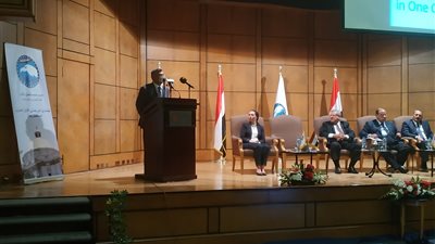 وزير البترول الأسبق: دعم الطاقة من أكبر الأعباء على الخزانة المصرية