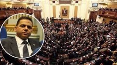 برلماني عن إعفاء 100 ألف طن دواجن من الجمارك: 