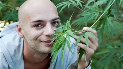 دراسة حديثة تكشف حقيقة علاج السرطان بالحشيش