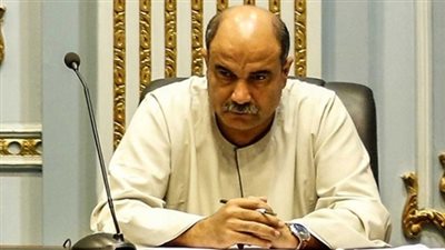 برلماني: مشكلة الزراعة المصرية في عدم وجود استراتيجية واضحة