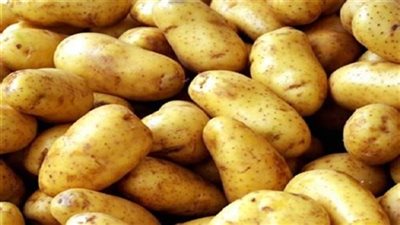 عاجل.. الحكومة تكشف رسميا سبب أزمة 