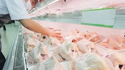 عاجل.. وزارة التموين ترد على زيادة أسعار الدواجن المجمدة