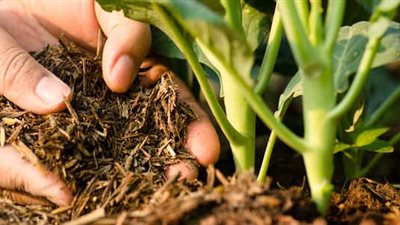 كل ما تريد معرفته عن المنظومة الجديدة لمنع التلاعب وتهريب الأسمدة