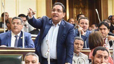 برلماني: العلاقات المصرية الإماراتية تاريخية ومتفردة