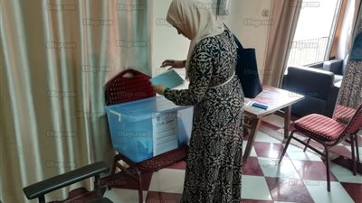 توافد العلميين للتصويت في انتخابات التجديد النصفي بالشرقية (صور)