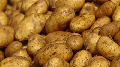 ارتفاع أسعار البطاطس يثير غضب المواطنين بالبحرالأحمر.. وتجار التجزئة الغلاء علينا وعلى المواطن 