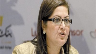  وزارة التخطيط تعلن عن حجم أصول الصندوق السيادى للدولة