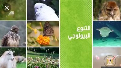 آخر تحضيرات مؤتمر التنوع البيولوجي: 4 مليون عائدات من السياحة وحضور 43 وزير بيئة من حول العالم 