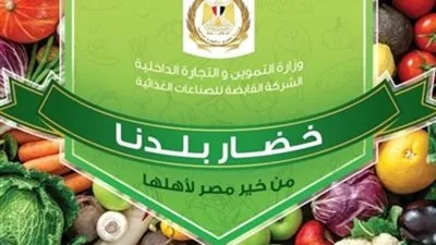 الحكومة VS التجار.. هل تتراجع أسعار البطاطس بعد مبادرة 