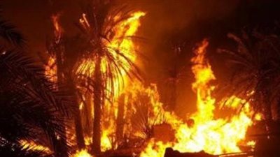 عاجل.. حريق هائل بمزرعة دواجن بحي الجناين في السويس 