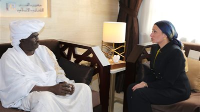 ‎ وزيرة البيئة تلتقي نظيرها السوداني وتبحث أوجه التعاون المشترك بين البلدين