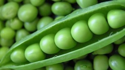 البسلة تسجل 15 جنيها اليوم السبت في أسواق الإسماعيلية