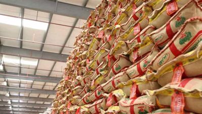 ارتفاع واردات مصر من الأرز إلى 75.868 ألف طن خلال 9 أشهر