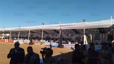 محافظ الدقهلية يشهد ختام مهرجان الخيول العربية بجمصة (صور)