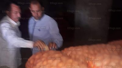 ضبط 579 طن بطاطس مخزنة قبل بيعها بالسوق السوداء بالبحيرة (صور)