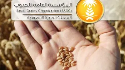 عاجل - السعودية | تغريدة لـ