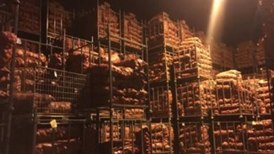 الداخلية: ضبط 700 طن بطاطس مخزنة داخل إحدى الثلاجات بدمياط 
