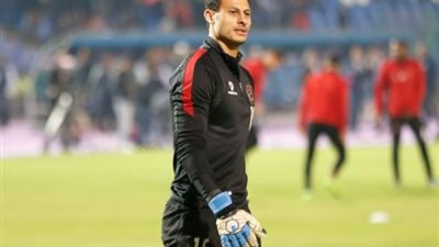 كارتيرون يكشف حجم إصابة الشناوي قبل لقاء الترجي